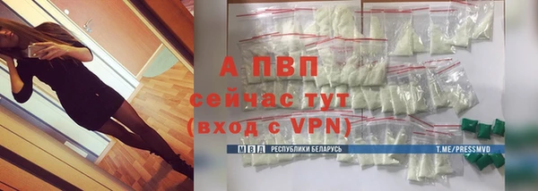 СК Балахна