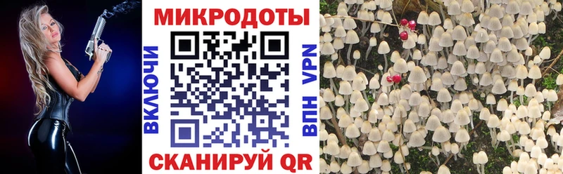 Галлюциногенные грибы мицелий  цены   Октябрьск 